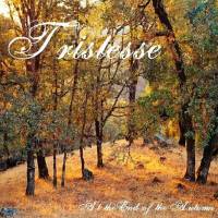 Tristesse : At the End of the Autumn